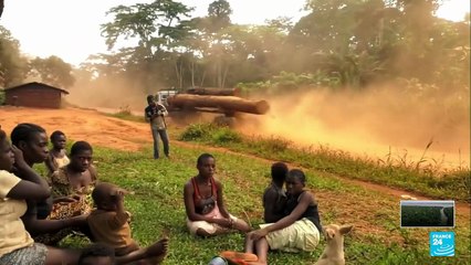 El gran bosque del Congo: un macizo vital en el planeta amenazado por la deforestación