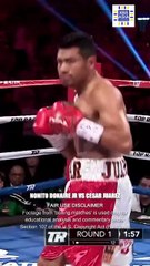 Nonito Donaire's PULL COUNTER was PERFECTLY TIMED!