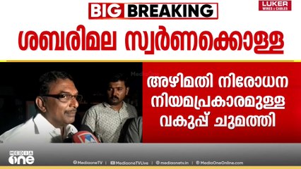 ശബരിമല സ്വർണക്കൊള്ള: എൻ. വാസുവിനെതിരെ അഴിമതി നിരോധന നിയമപ്രകാരമുള്ള വകുപ്പ് ചുമത്തി
