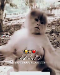 Don't under review My Videos 🥺💔 #foryou#foryoupage#fyp#funny#funnyvideo