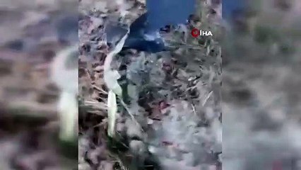 20 evladımıza mezar olan askeri kargo uçağının enkazına ulaşıldı