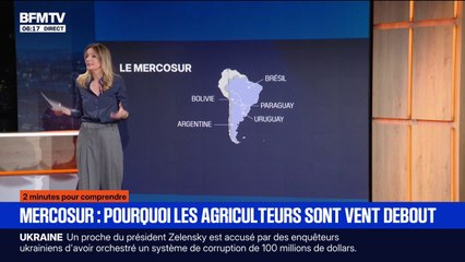 2 MINUTES POUR COMPRENDRE - Qu'est-ce que le Mercosur et pourquoi les agriculteurs sont-ils en colère?