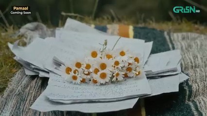 O Harjai OST PAMAAL 🎶 Singer Shahid Amin  Ft. Saba Qamar - Usman Mukhtar  Green TV - Green TV Entertainment (360p, h264)