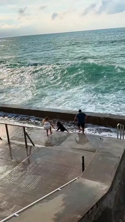 😂🌊 When the Ocean Says "Nope, You're Not Leaving!" - Close Call with a Rogue Wave! ⚠️