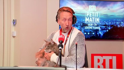 Le Cave' réveil du 12 novembre 2025