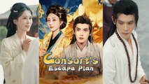 【 Consort's Escape Plan 】Newest Chinese Drama 2025 #chinesedrama  #producer #shortdrama2025