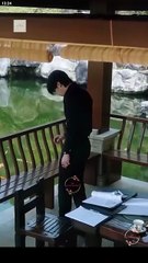 Under Fire, Under Your Spell / Pride Meets Love - Full Movie