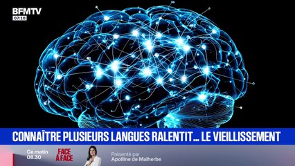 Le cerveau des personnes qui parlent plusieurs langues vieillit moins vite que les autres