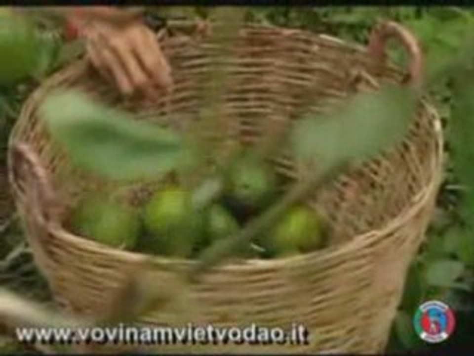 Vovinam in Vietnam - Parte 3 di 4