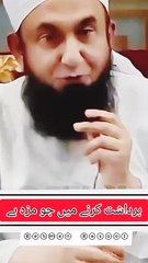 صبر اور برداشت میں بڑا سکون اور طاقت ہے۔ نبی صلی اللہ علیہ وسلم کا فرمان ہے کہ "صبر نور ہے" صبر کرنے والوں کو اللہ بڑے انعامات سے نوازتا ہے۔ ♥️♥️♥️♥️♥️♥️♥️♥️♥️♥️♥️♥️