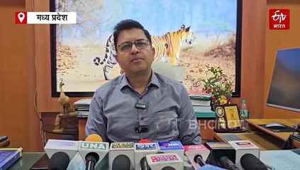 टाइगर्स के गढ़ में आ रहे आसामी भैंसे, वाइल्ड बफेलो से जंगल में बढ़ेगा रोमांच