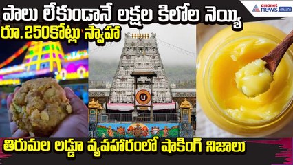 TTD Fake Ghee Worth 250 Crore Used in Tirumala Laddus CBI Probe Reveals | Asianet News Telugu