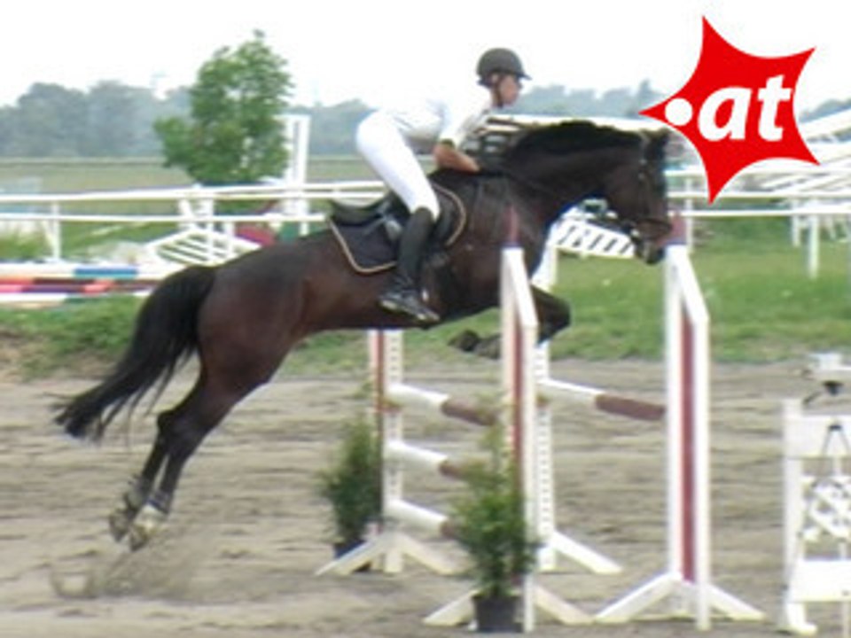 Paul Freudenschuss, Springreiten, Kottingbrunn (2008-014)