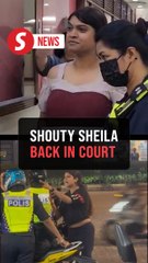 'Inspector Sheila' charged with obstructing police from discharging duty