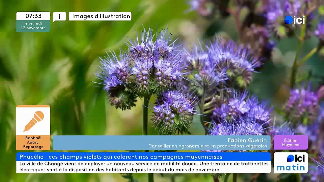 12/11/2025 - ici matin par ici Mayenne en vidéo