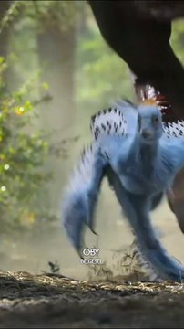 Bir dinozor için küçük bir adım ama dünyadaki yaşam için dev bir sıçrayış. Bu ilk süzülenlere yani bir hanedan doğdu.