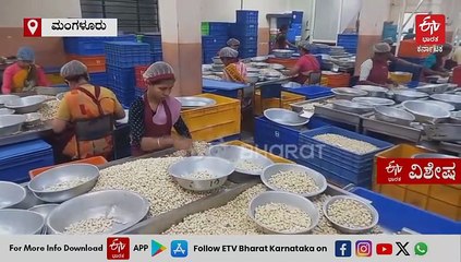 100 ವರ್ಷ ತುಂಬಿದ ಗೋಡಂಬಿ ಉದ್ಯಮ: ಮಂಗಳೂರು ಬ್ರ್ಯಾಂಡ್​ಗೆ ವಿಶೇಷ ಬೇಡಿಕೆ