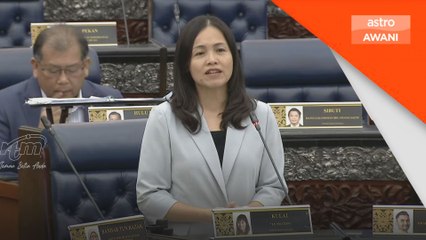 Teo Nie Ching nafi akaun palsu promosi PM