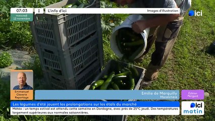 12/11/2025 - ici matin par ici Périgord en vidéo