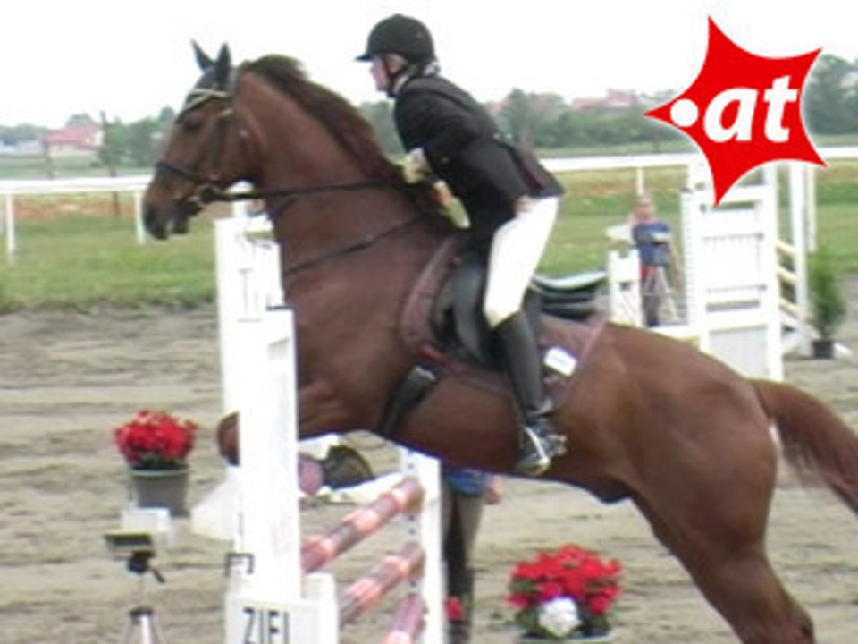 Marina Mascha, Springreiten, Kottingbrunn (2008-015)