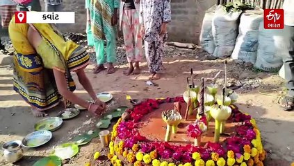 છોટાઉદેપુરના કવાંટમાં ઉજવાય છે 'ગાય ગોદી ઉત્સવ', આદિવાસી સમુદાયની અનોખી દેવ દિવાળી, આ રીતે કરે છે પાંરપરીક ઉજવણી