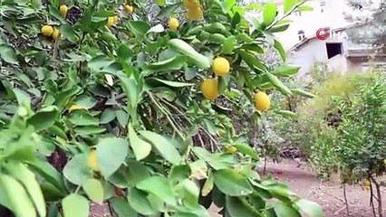 Burası Türkiye'nin ''ne ekersen onu biçersin'' köyü!