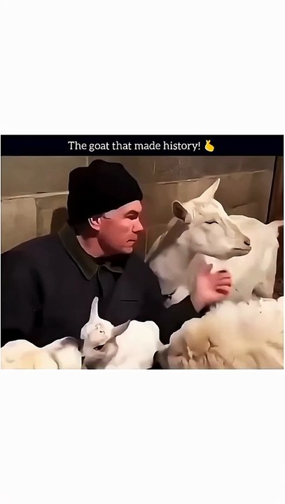 the goat that made history! 🤫