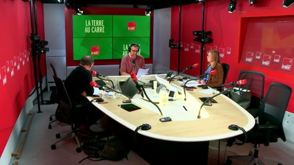 Acidification de l'océan : une 7ème limite planétaire est franchie