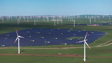 China shares carbon market experience, calls for global cooperation at COP30