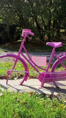 La Metropolitana culturale persicetana: Roberto Serra, professore di dialetto bolognese