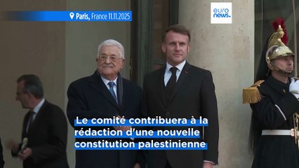 Rencontre Macron-Abbas : "un comité conjoint" pour rédiger une constitution pour l'État de Palestine