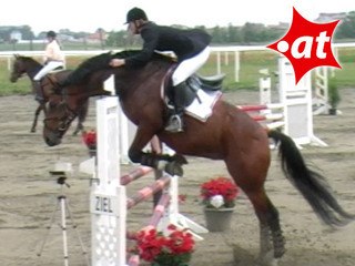 Kristina Gugerell, Springreiten, Kottingbrunn (2008-016)