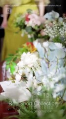 The Cursed Alpha's Mute Bride Reel