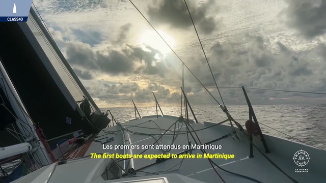 TRANSAT CAFÉ L'OR Le Havre Normandie2025 - Récap 11 novembre