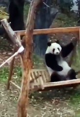 This content for evryone