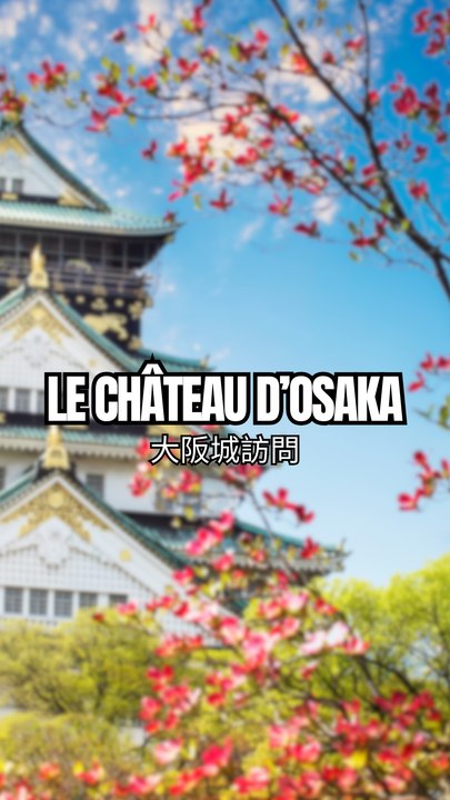 Osaka Castle 🏯🇯🇵