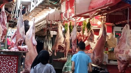 #reel ait Ourir Marrakech