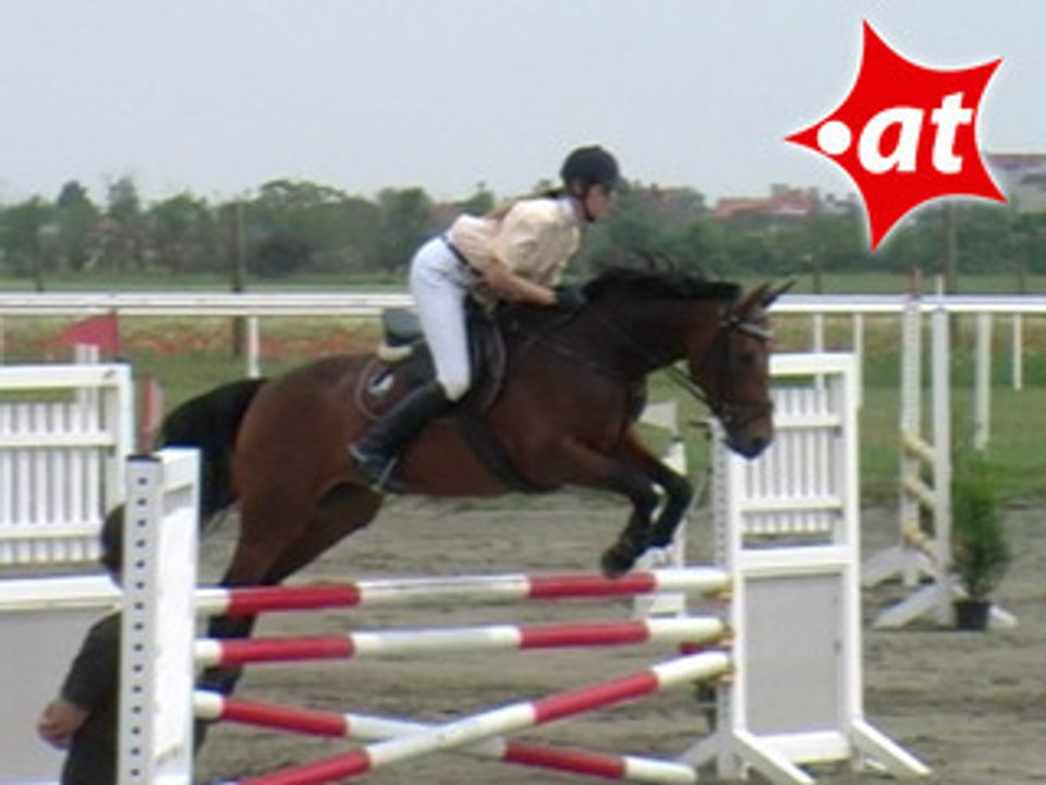 Petra Wiedner, Springreiten, Kottingbrunn (2008-017)