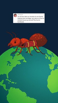 L'ultime stratégie des fourmis kamikaze ! #fourmis #explosion #animaux #humour #nature