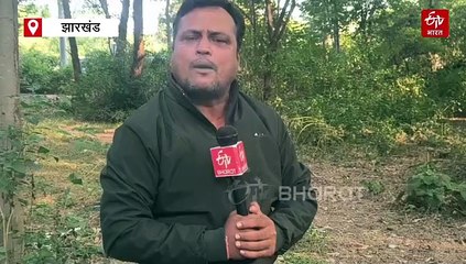 बिहार में एनडीए की होगी प्रचंड जीत, मोदी-नीतीश के नाम पर जनता ने कर दिया फैसलाः निशिकांत दुबे