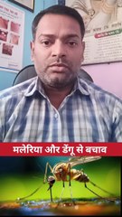 मलेरिया और डेंगू से बचाव ।