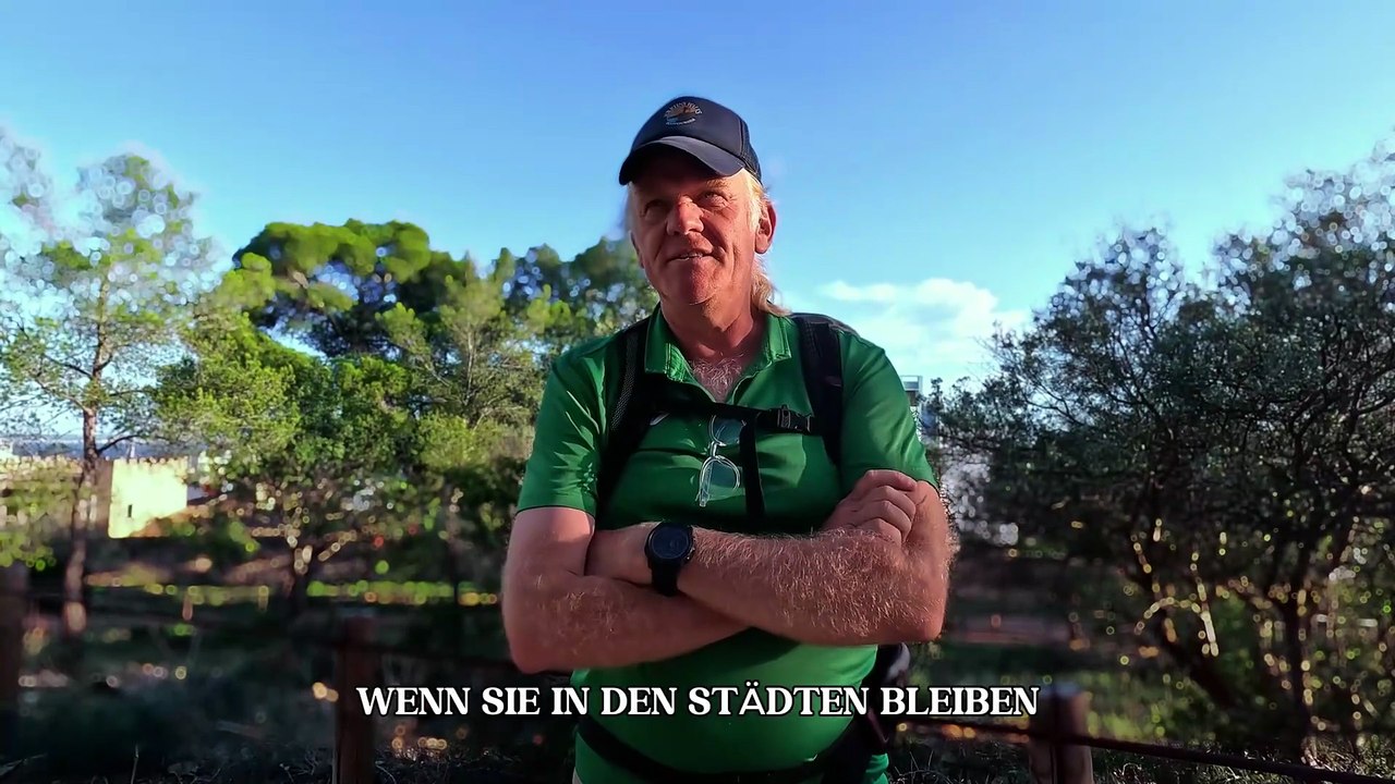 Palma Spezial: Das grüne Palma