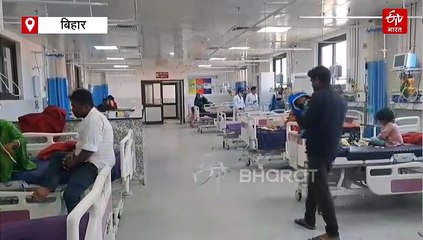 बिहार में पांव पसार रहा डेंगू और चिकनगुनिया, मुजफ्फरपुर में 74 मरीज अस्पताल में भर्ती