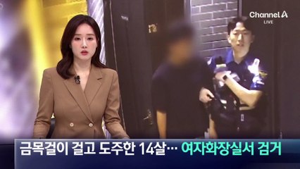 금목걸이 걸고 도주한 14살…여자화장실서 검거