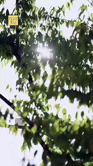 Lose Me, Lose Everything Full Movie