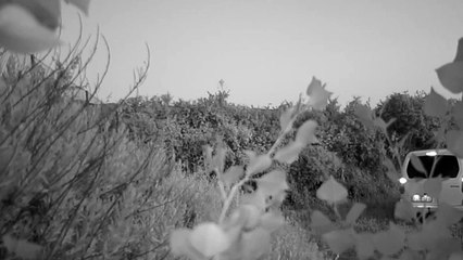 Detenido al poner trampas de caza ilegales y maltrato animal