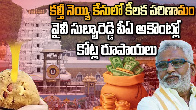 YV Subba Reddy మెడకు బిగుస్తున్న కల్తీ నెయ్యి ఉచ్చు, కోట్ల రూపాయలు చేతులు మారింది అక్కడే | Onindia