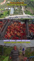 Keşif-Üretici Dünyası. Melisa Fidancılık-Erdek- Alaattin Bodur 0536 825 5046 Mustafa Bodur 0538 071 4684