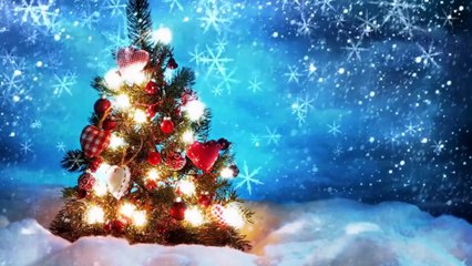 Christmas │Christmasvibes│Christmastree│Christmasdecor│xmas│Christmastime│Love│Winter│Christmasgifts│Soothing│Music│Cozy Evenings│Christmascheer│Christmastraditions│ Christmastime│Christmaslovers