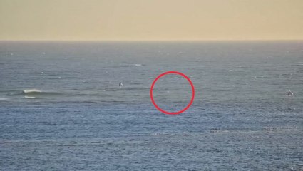 Watch moment shark pulls windsurfer underwater in terrifying fight